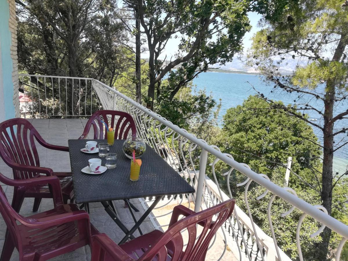 Apartman Volarevic Donji Karin المظهر الخارجي الصورة